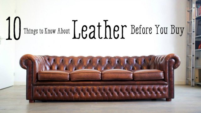 10 Things to Know About Leather